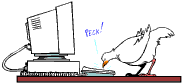 bird pecking