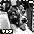 Laika fan
