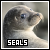Seal fan