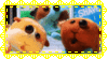 Pui Pui Molcar