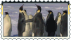 Penguins
