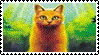 Warrior cats